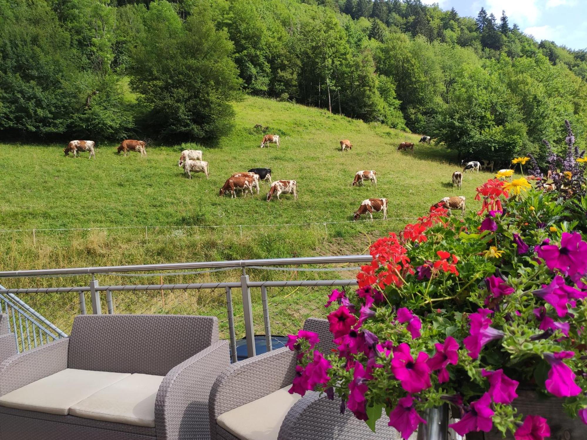 Hotel Les Chemins Du Leman Novel Exteriér fotografie